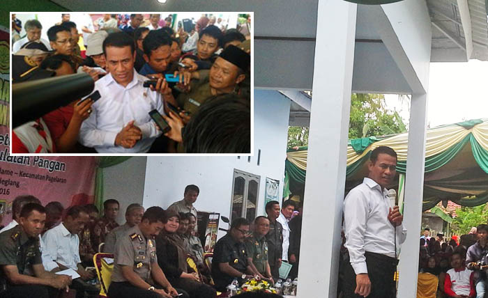 Mentan Targetkan Pengembangan Lahan Jagung 10.000 Hektar di Pandeglang